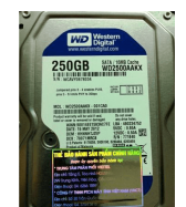 Ổ cứng HDD 250GB Western ổ cứng máy tính PC cũ giá rẻ